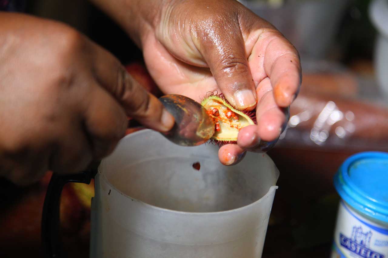 Quilombo São Benedito São Fidélis, North Fluminense Region