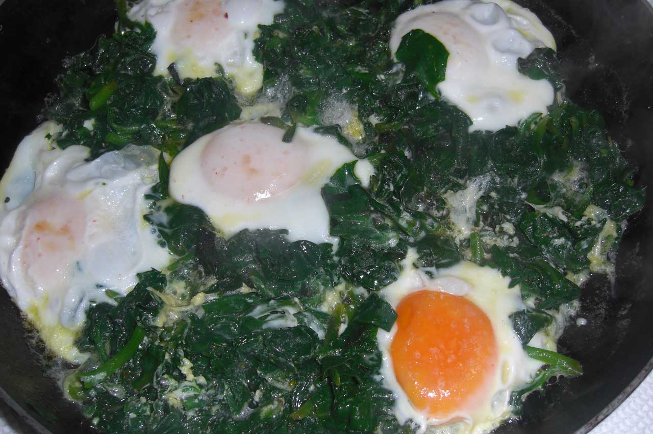 Maria Conga´s Quilombo - GREEN AMARANTH WITH SOUR EGG